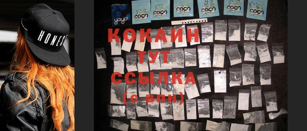 альфа пвп Бородино