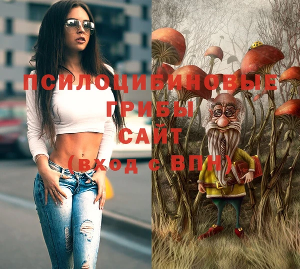альфа пвп Бородино
